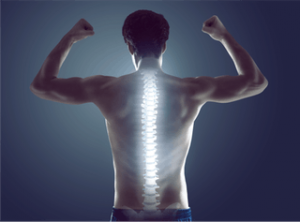 Strong Man With Healthy Back/Spine