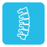 spine-icon